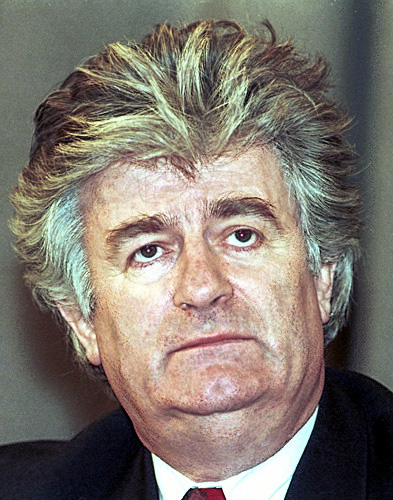 HMDT's response to the Radovan Karadžić trial verdict