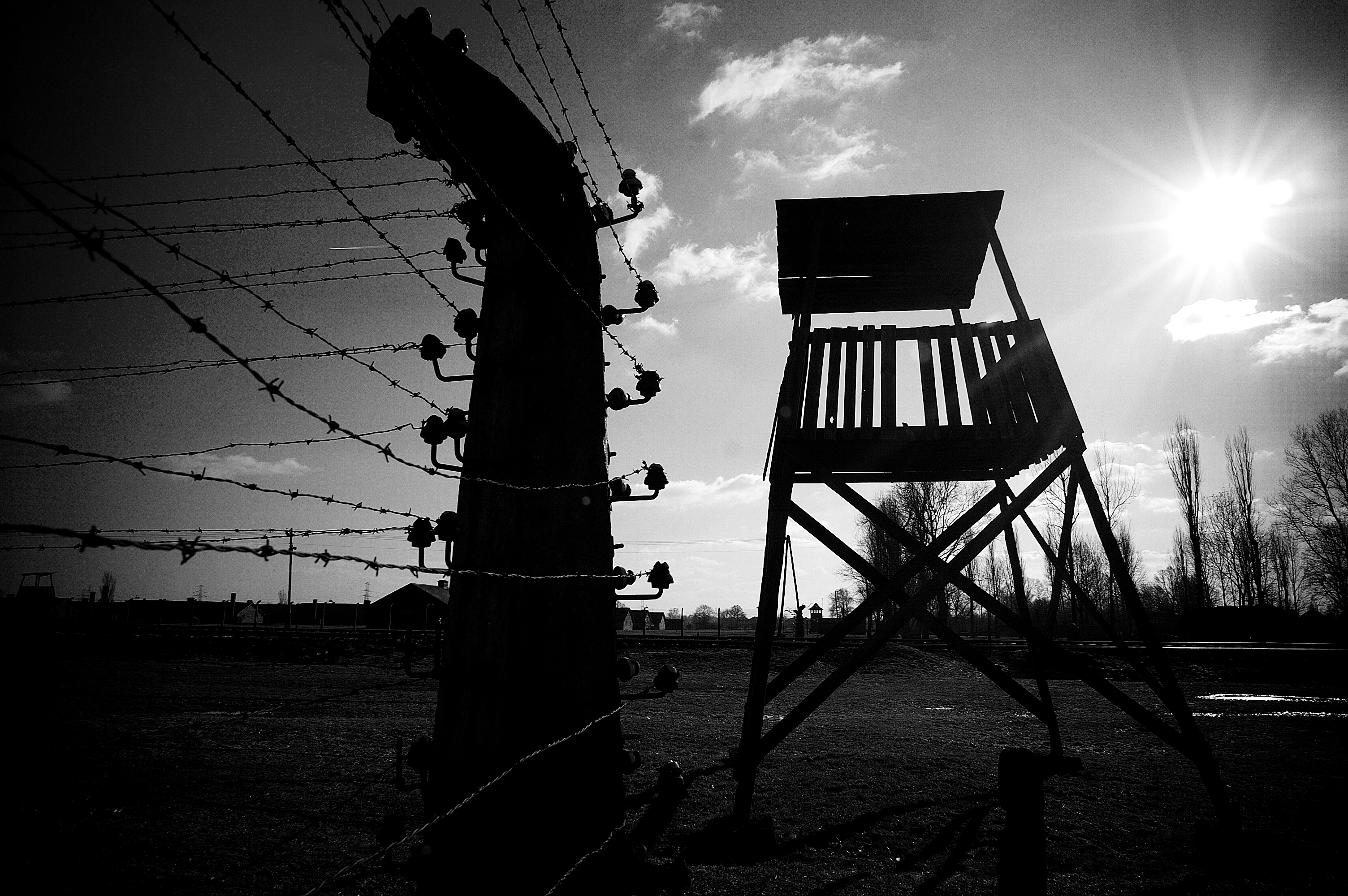 Holocaust Memorial Day Trust Camps today