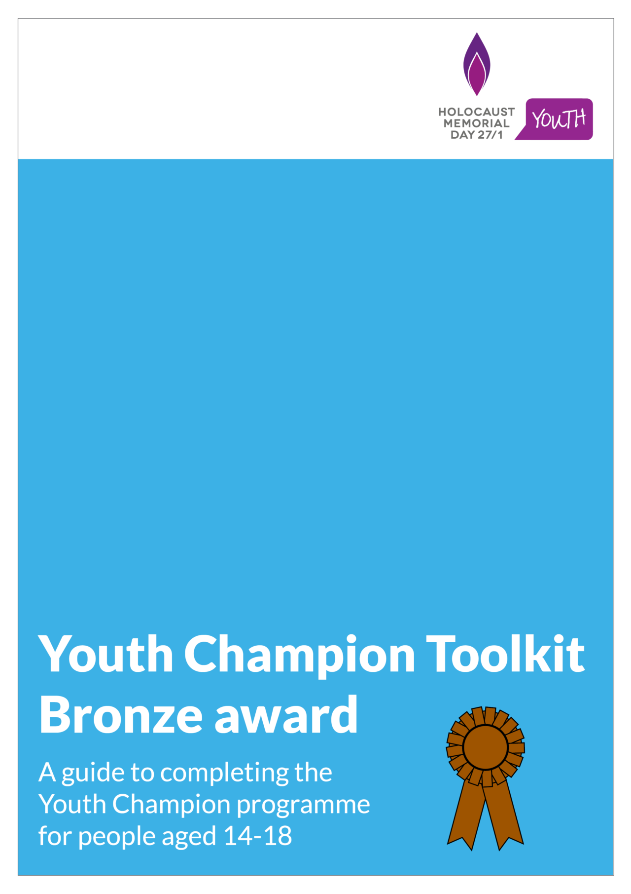 Youth Champion bronze award toolkit