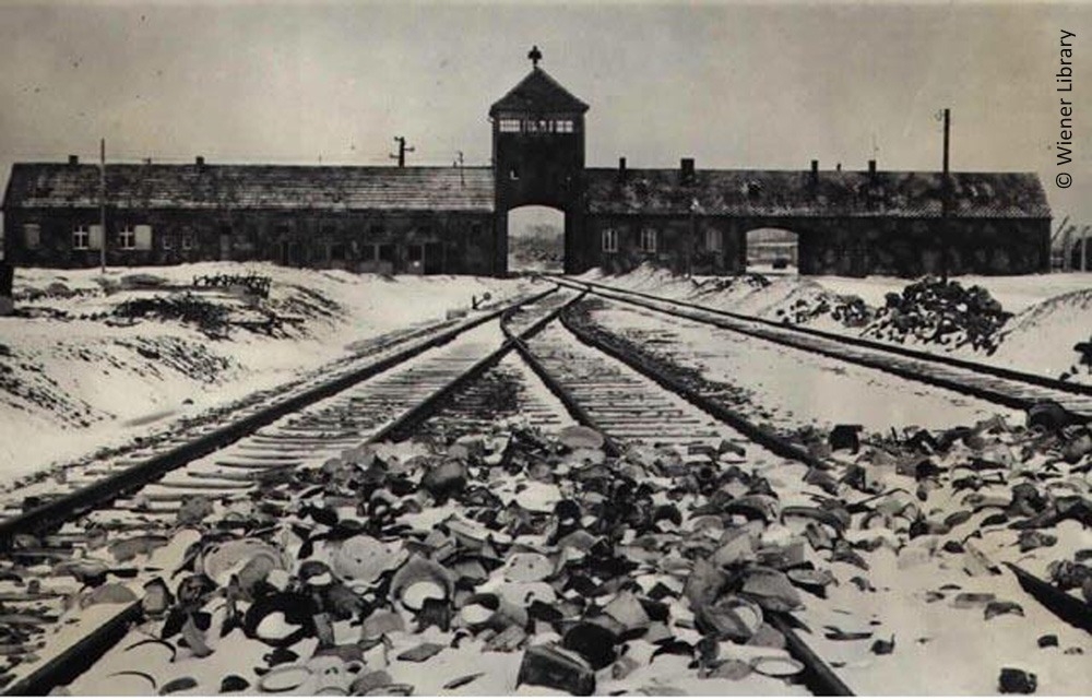 Holocaust and genocide