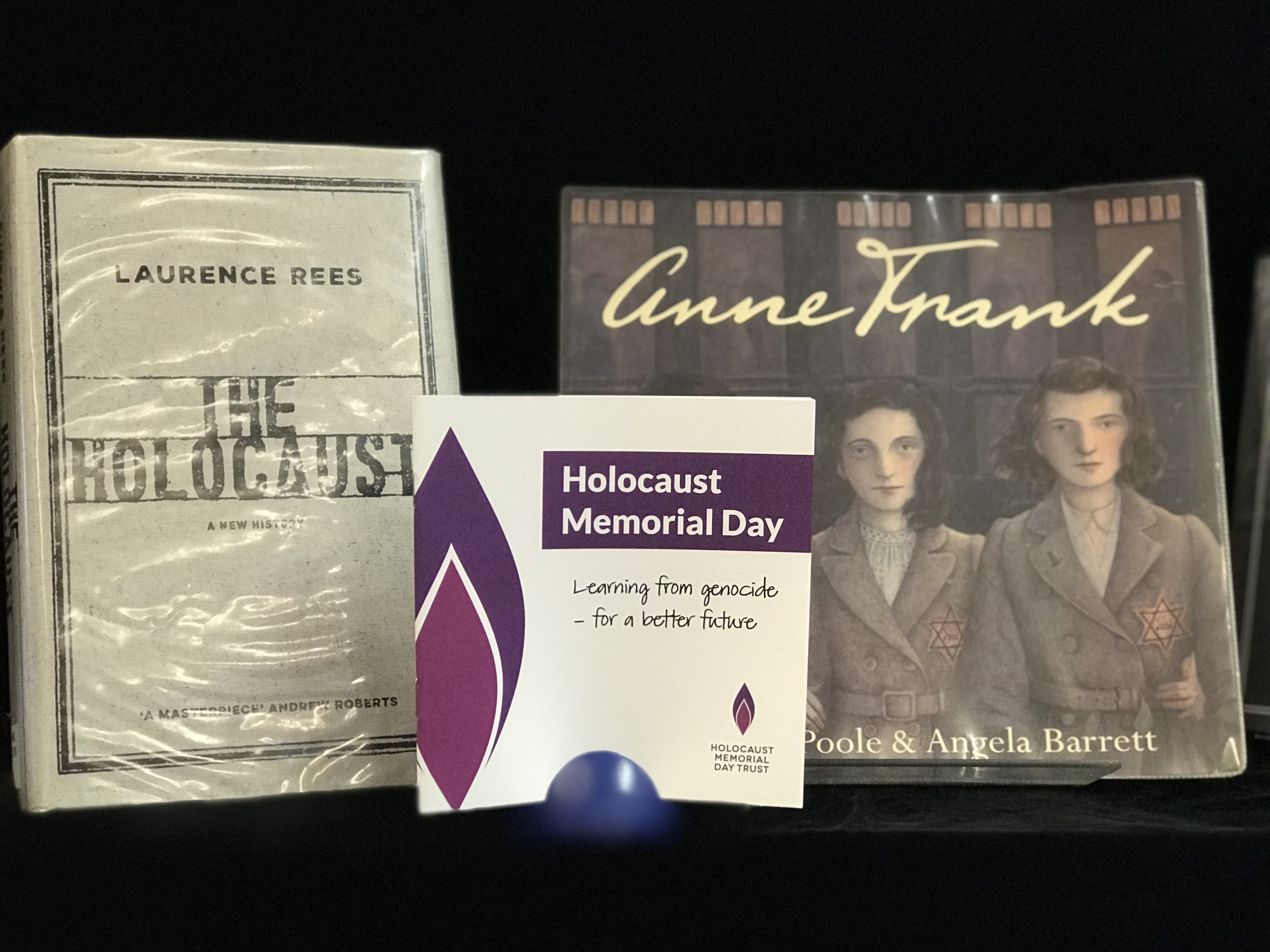 Holocaust Memorial Day library displays