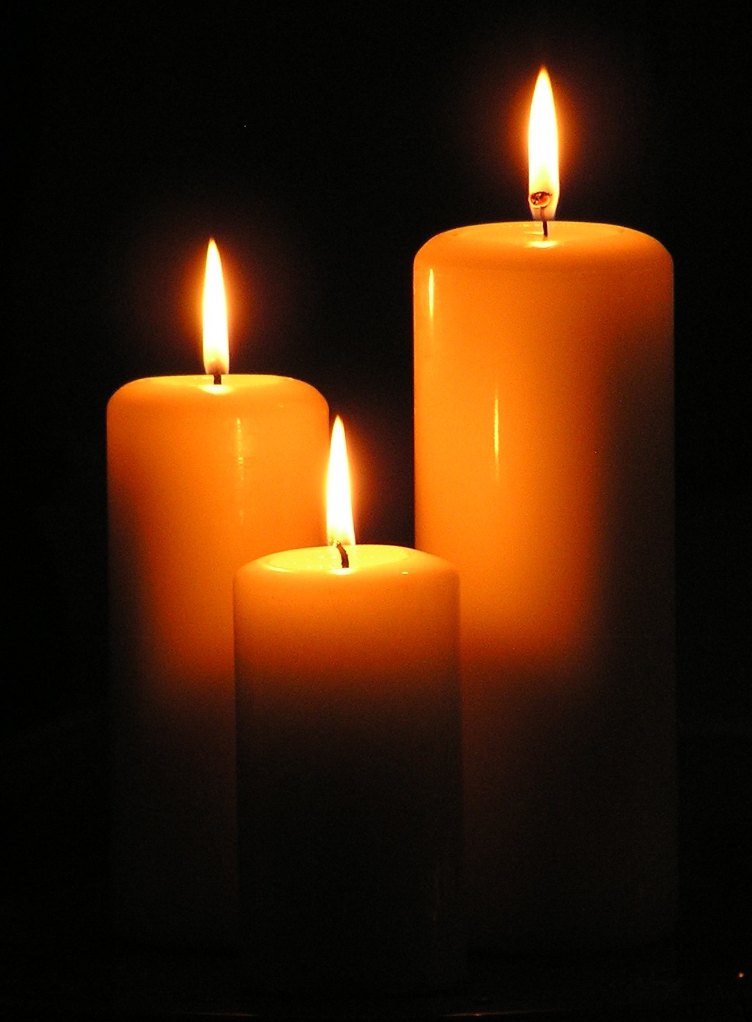 Brighton Quaker Meeting - Light a candle of Remembrance and Hope - HMD 2024